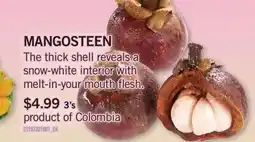 Fortinos MANGOSTEEN, 3'S offer