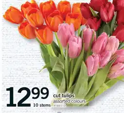 Fortinos CUT TULIPS offer