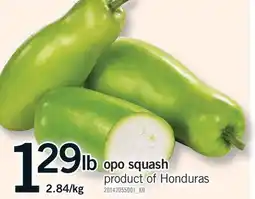 Fortinos Opo Squash offer