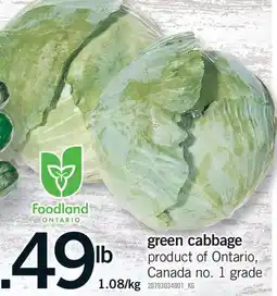 Fortinos CABBAGE GREEN offer