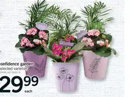 Fortinos CONFIDENCE GARDEN offer