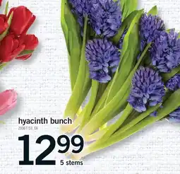 Fortinos HYACINTH BUNCH, 5 STEMS offer
