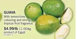 Fortinos GUAVA offer