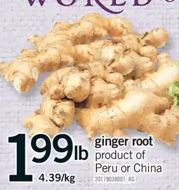 Fortinos GINGER ROOT offer