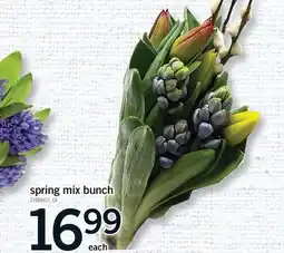 Fortinos SPRING MIX BUNCH offer