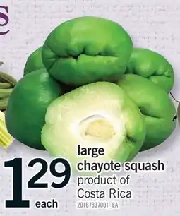 Fortinos LARGE CHAYOTE SQUASH offer