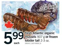 Fortinos FRESH ATLANTIC ORGANIC MUSSELS, 907 G OR FROZEN LOBSTER TAIL 2-3 OZ offer
