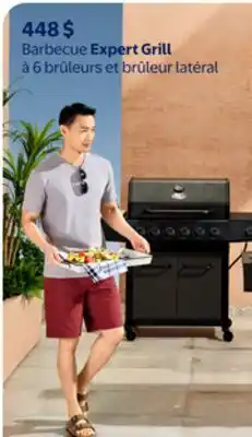 Walmart Barbecue Expert Grill à 6 brûleurs et brûleur latéral offer