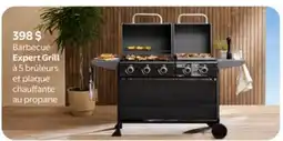 Walmart Barbecue Expert Grill offer