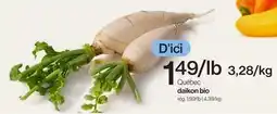 Avril Daikon bio offer