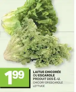 L'Intermarché LAITUE CHICORÉE OU ESCAROLE | CHICORY OR ESCAROLE LETTUCE offer