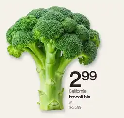 Avril Brocoli bio offer