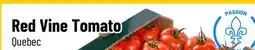 Mayrand Red Vine Tomato offer