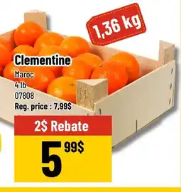 Mayrand Clementine offer