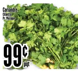 Bonanza Coriandre offer