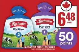 Food Basics LACTANTIA PURFILTRE MILK offer