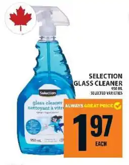 Food Basics SELECTION GLASS CLEANER offer