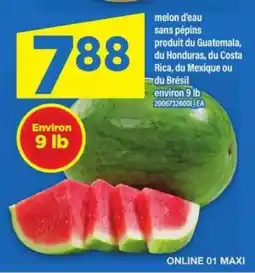 Maxi melon d'eau offer