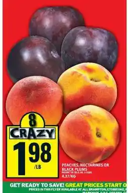 Food Basics Peaches, Nectarines or Black Plums offer