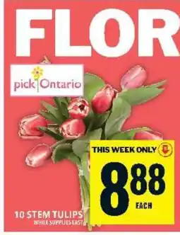 Food Basics 10 STEM TULIPS offer