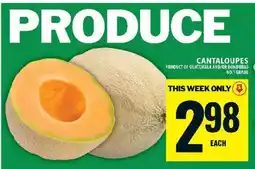 Food Basics Cantaloupes offer