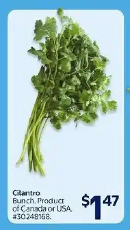 Walmart CILANTRO offer