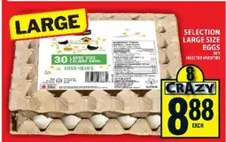 Food Basics Selection Large Size Eggs offer