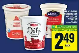 Food Basics Hans Dahi, Phoenicia or Cedar Yogurt offer