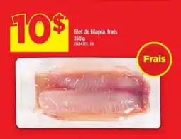 Maxi filet de tilapia, frais offer