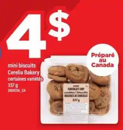 Maxi MINI-BISCUITS offer