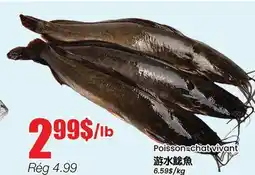 Btrust Supermarket Poisson-chat vivant offer