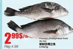Btrust Supermarket Poisson Sheephead frais du lac offer