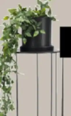 JYSK Pelle Pedestal offer