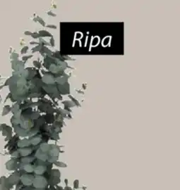 JYSK Ripa Artificial potted plant offer