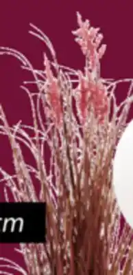 JYSK MARKUSFLUE / GRASUGGA Artificial beach grass offer