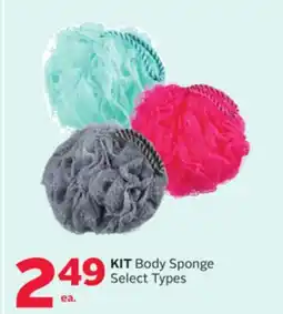 Rexall KIT Body Sponge offer