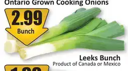 Starsky Leeks Bunch offer