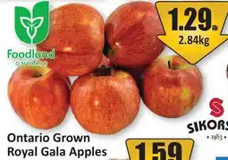 Starsky Ontario Grown Royal Gala Apples offer