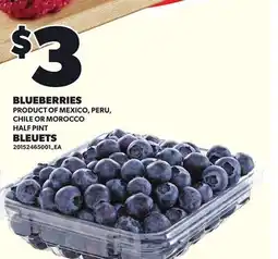 Independent City Market BLUEBERRIES, HALF PINT offer