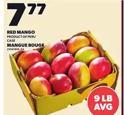 Independent City Market RED MANGO, 9 LB AVG offer
