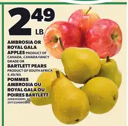 Independent City Market AMBROSIA OR ROYAL GALA APPLES OR BARTLETT PEARS offer