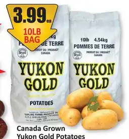 Starsky Canada Grown Yukon Gold Potatoes offer