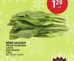 Kim Phat BABY GAICHOY offer