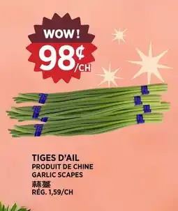 Kim Phat GARLIC SCAPES offer