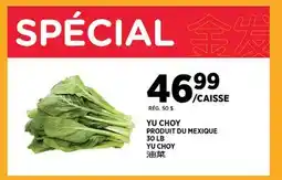 Kim Phat YU CHOY offer