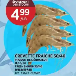 Kim Phat FRESH SHRIMP 30/40 offer