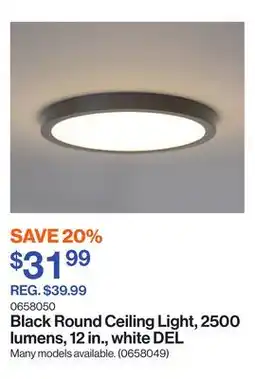 Patrick Morin Black Round Ceiling Light, 2500 lumens, 12 in., white DEL offer