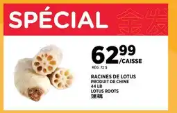 Kim Phat LOTUS ROOTS offer
