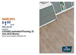 Patrick Morin LOGAN Laminated Flooring, 12 mm, AC5, Brown offer