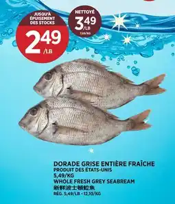 Kim Phat WHOLE FRESH GREY SEABREAM offer